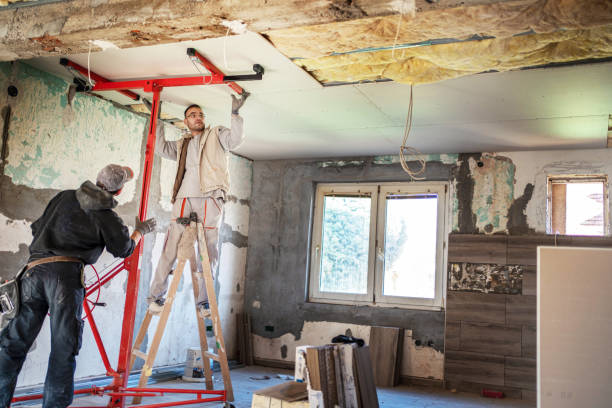 Best Geographic-Specific Insulation Services in Bee Cave, TX