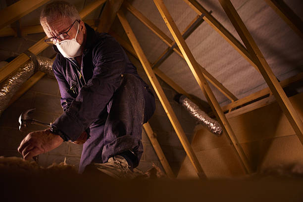 Best Eco-Friendly Insulation in Bee Cave, TX